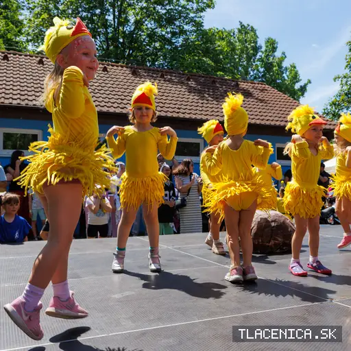 Fotka z galerie Deň detí Senec, nedeľa