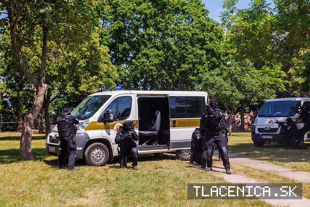Fotka z galérie Deň detí Senec, nedeľa