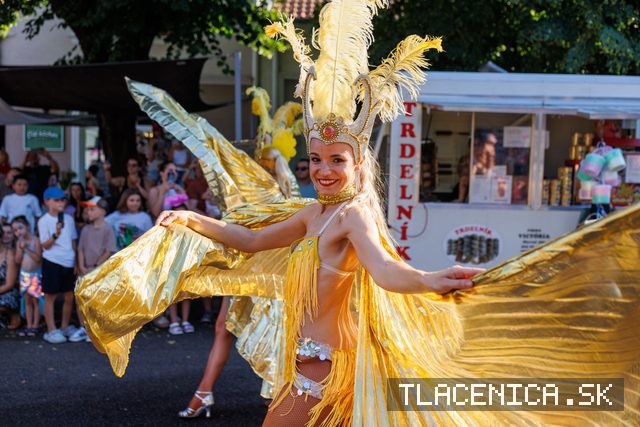 Fotka z galerie Veľký letný karneval 2026, Senec