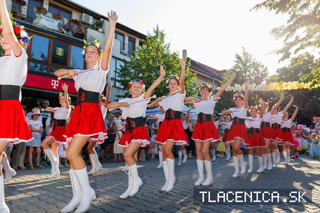 Fotka z galerie Veľký letný karneval 2026, Senec